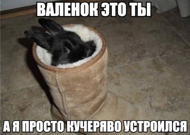 ВАЛЕНОК ЭТО Thi ПРОСТО КУЧЕРЯВО УСТРОИЛСЯ