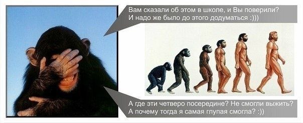 Вам сказали об этом в школе, и Вы поверили? И надо же было до этого додуматься 6 ‘A А где эти четверо посередине? Не смогли выжить А почему тогда я самая глупая смогла?