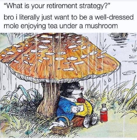 “What is your retirement strategy?” bro literally just want to be a well-dressed mole enjoying tea under a mushroom и и И Say