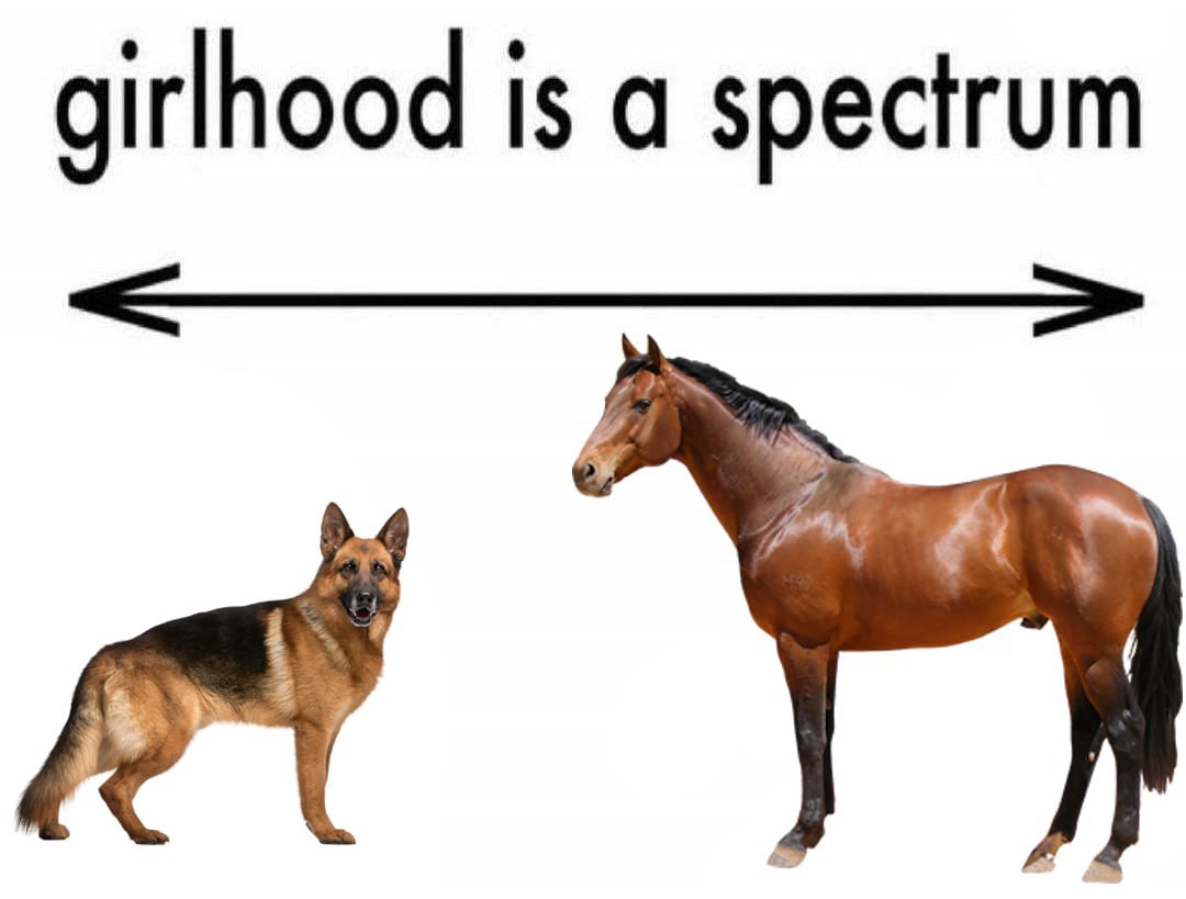 girlhood is а spectrum