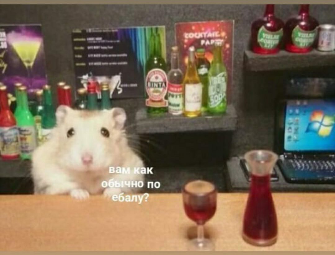 в о по балу?