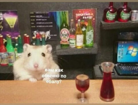 в о по балу?