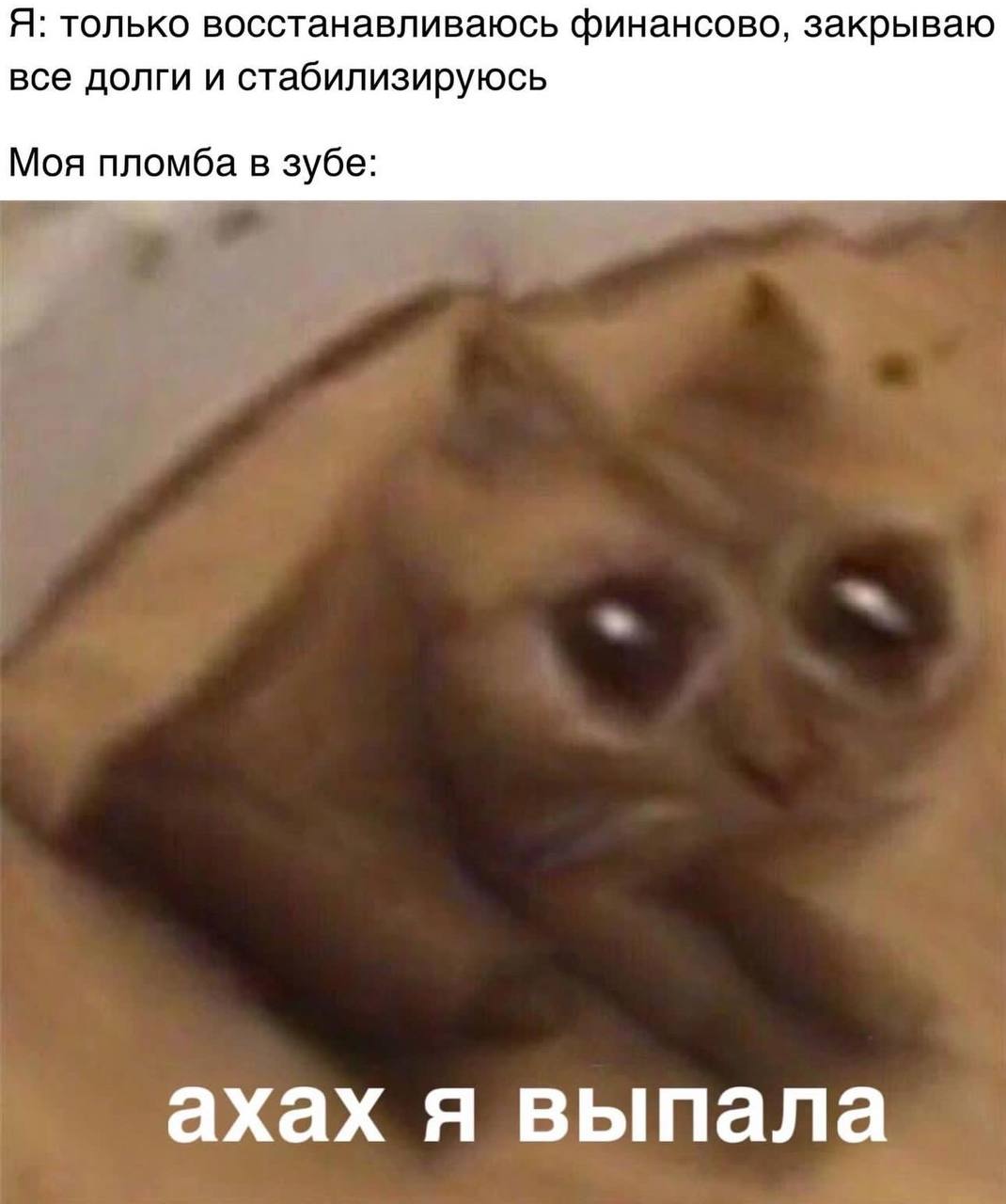 Я: только восстанавливаюсь финансово, закрываю все долги и стабилизируюсь Моя пломба в зубе: ахах я выпала