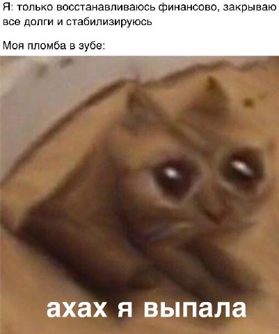 Я: только восстанавливаюсь финансово, закрываю все долги и стабилизируюсь Моя пломба в зубе: ахах я выпала