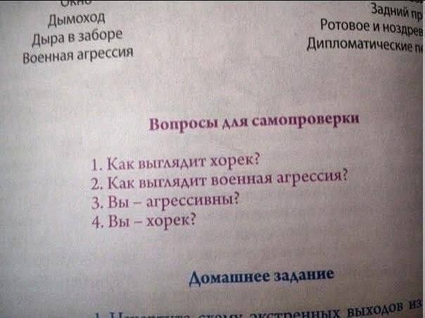 Дымоход Военная агрессия Дипломатическ 5 4 Вопросы для CAMOMPOBEP 4 Как выглядит хорек? 2. Kak выглядит военная 3, Вы агрессивны? 4, Вы хорек? к 3 a