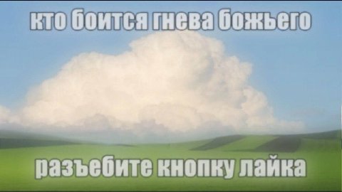 божьего кнопку