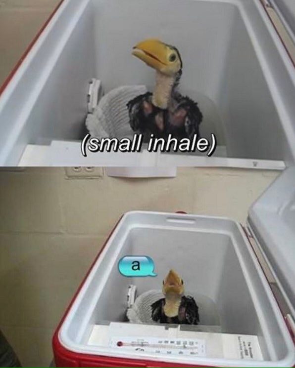 (small inhale)