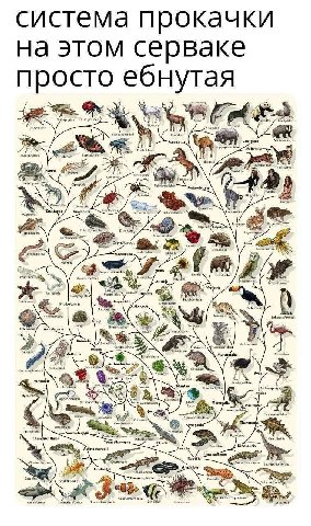 система прокачки на этом серваке ‘Suna Cetacea Wolf Caniformis Hippopotsmidse: Fells Catus Insecta ore Opiliones, Diplopods Perissodactyla Heme 4 ‘Chiroptera Arachnida Tap phalopod Fabids Gastropoda L