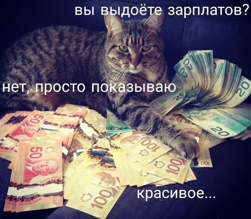 вы выдоете зарплатов? нет, просто показываю у красивое...