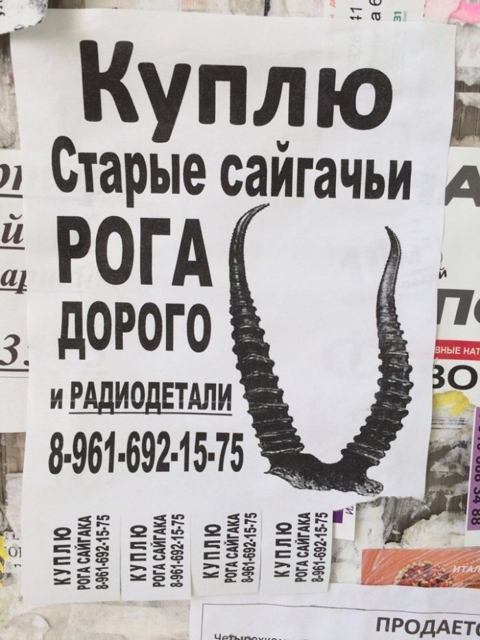 Куплю Старые сайгачьи a} РОГА 3. ДОРОГО 30 и РАДИОДЕТАЛ coe cos у» a ПРОДАЕТ.