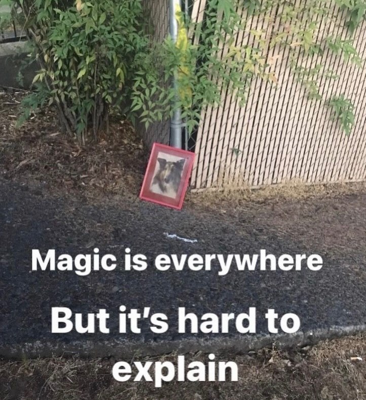 Magic 1$ everywhere But it's hard to. explain