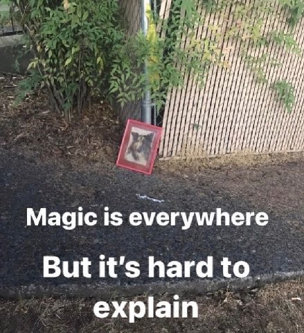Magic 1$ everywhere But it's hard to. explain