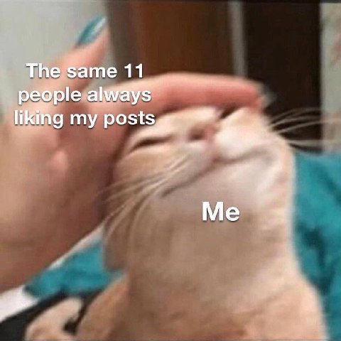 11 реор liking my posts