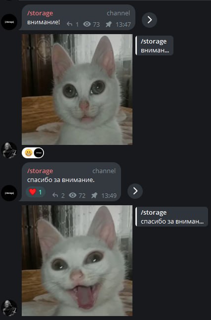 /storage channel внимание! 1073 Я 13:47 /storage вниман... i channel /storage спасибо за внимание. 52 072 13:49 /storage спасибо за вниман...