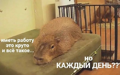 иметь работу это круто и всё такое... Но КАЖДЫЙ QEHb??
