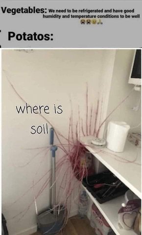 Vegetables: We need tobe refrigerated and have good temperature conditions to be well Potatos: where is Soil