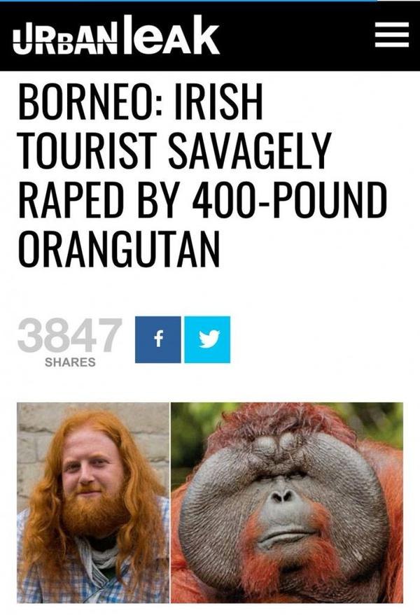 BORNEO: IRISH TOURIST SAVAGELY RAPED 400-POUND ORANGUTAN
