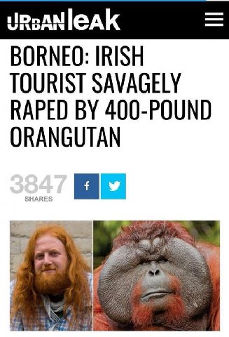 BORNEO: IRISH TOURIST SAVAGELY RAPED 400-POUND ORANGUTAN