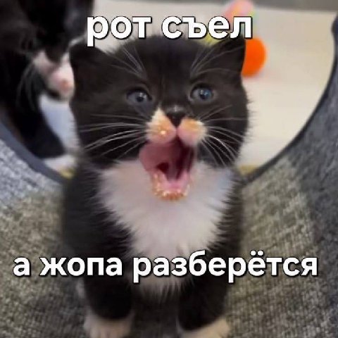 рот съел а жопа разберется