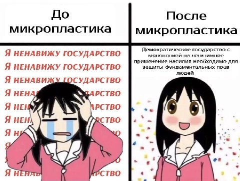 До После микропластика микропластика Демократическое государство с Я НЕНАВИЖУ ГОСУДАРСТВО монополией на легитимное применение насилия необходимо для Я НЕНАВИЖУ ГОСУДАРСТВО защиты фундаментальных прав 
