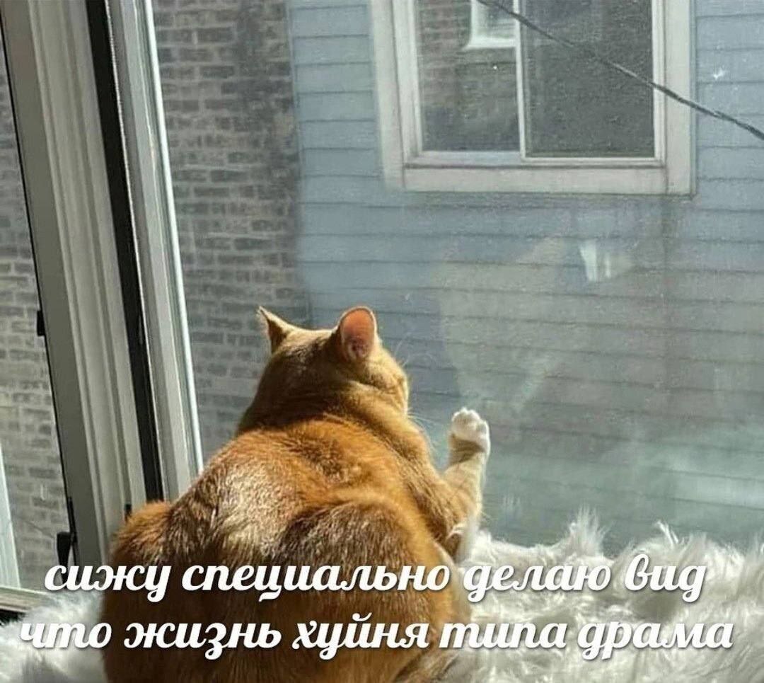 сижу специально Gig жизнь хуйня