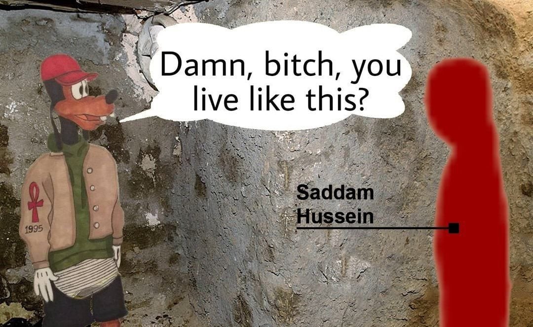 Damn, bitch, you live like this?