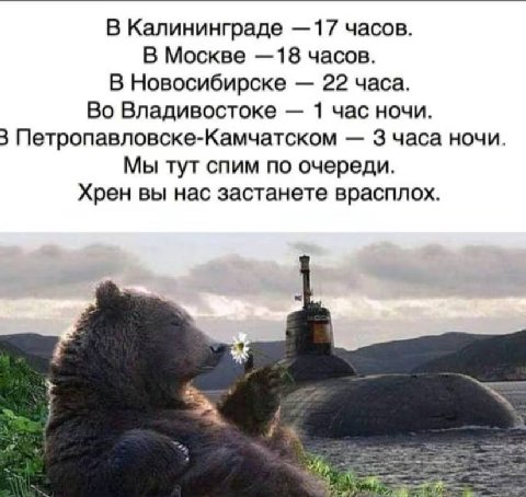 В Калининграде —17 часов. В Москве —18 часов. В Новосибирске 22 часа. Во Владивостоке 1 час ночи. 3 Петропавловске-Камчатском 3 часа ночи. Мы тут спим по очереди. Хрен вы нас застанете врасплох. У