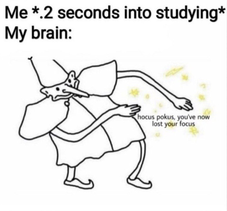 *.2 seconds into studying* My brain: ocus pokus, you lost your foc
