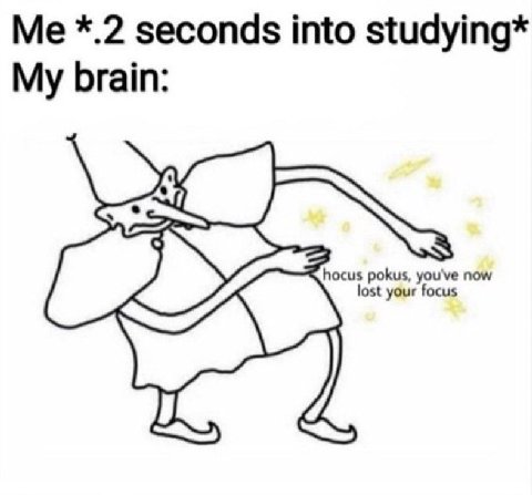 *.2 seconds into studying* My brain: ocus pokus, you lost your foc