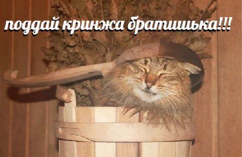 eee поддай кринжа братишька