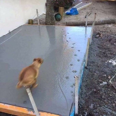 В