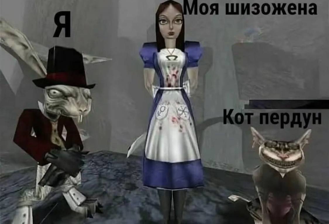 шизожена 4 к с 2 :1 4 7