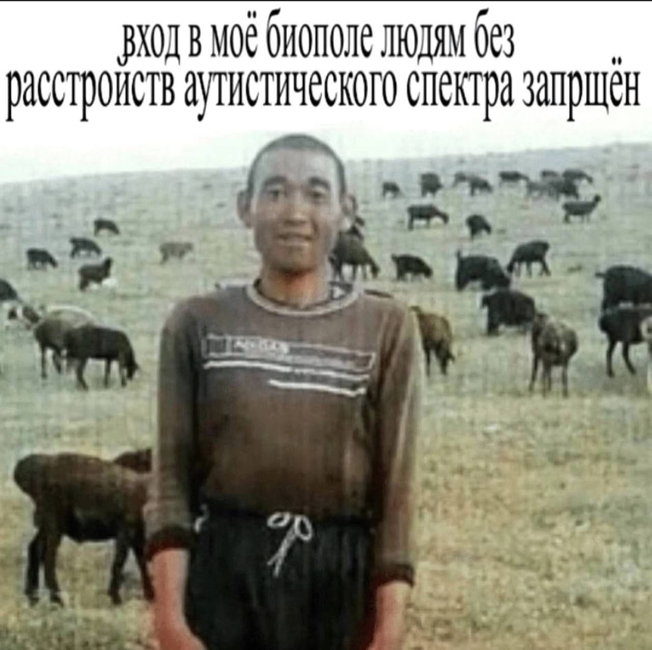 биополе расстроиств аутистического спектра запрщен on