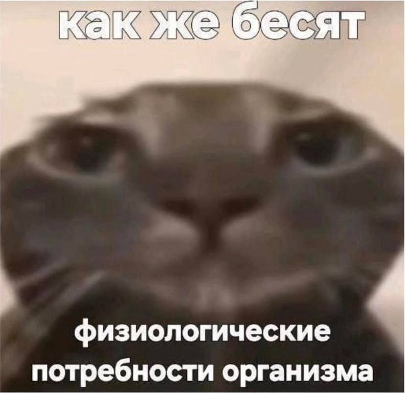 же бесят физиологические потребности организма