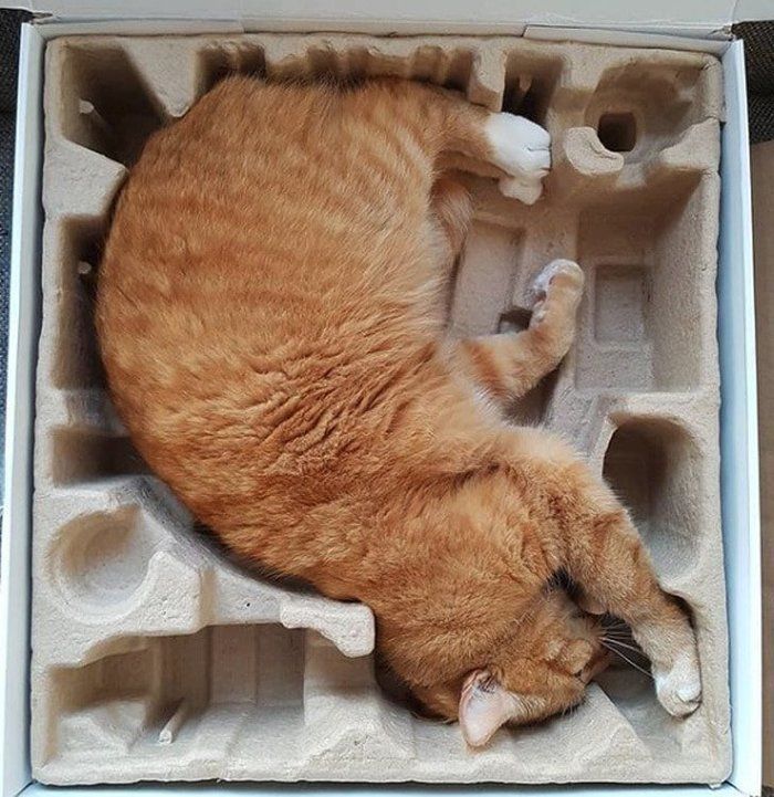 у 5 7 8 9 у А: Я 2