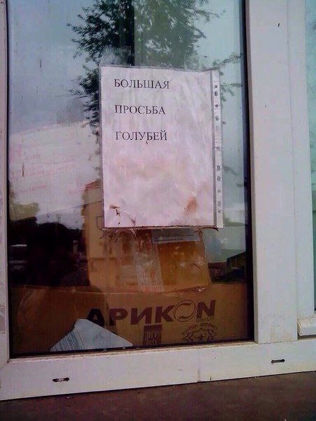 БОЛЬШАЯ ПРОСЬБА ГОЛУБЕЙ