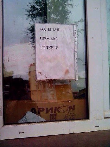 БОЛЬШАЯ ПРОСЬБА ГОЛУБЕЙ