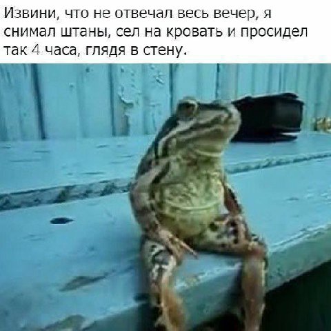 Извини, что не отвечал весь вечер, я снимал штаны, сел на кровать и просидел так 4 часа, глядя в стену.