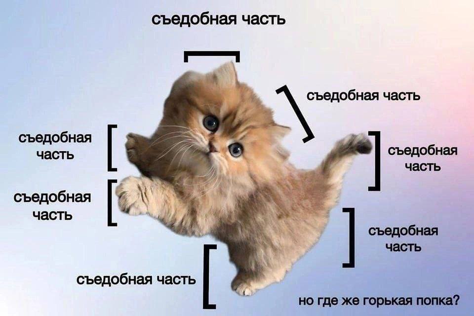 съедобная часть съедобная часть съедобная съедобная часть часть съедобная часть съедобная часть съедобная часть но где же горькая попка?