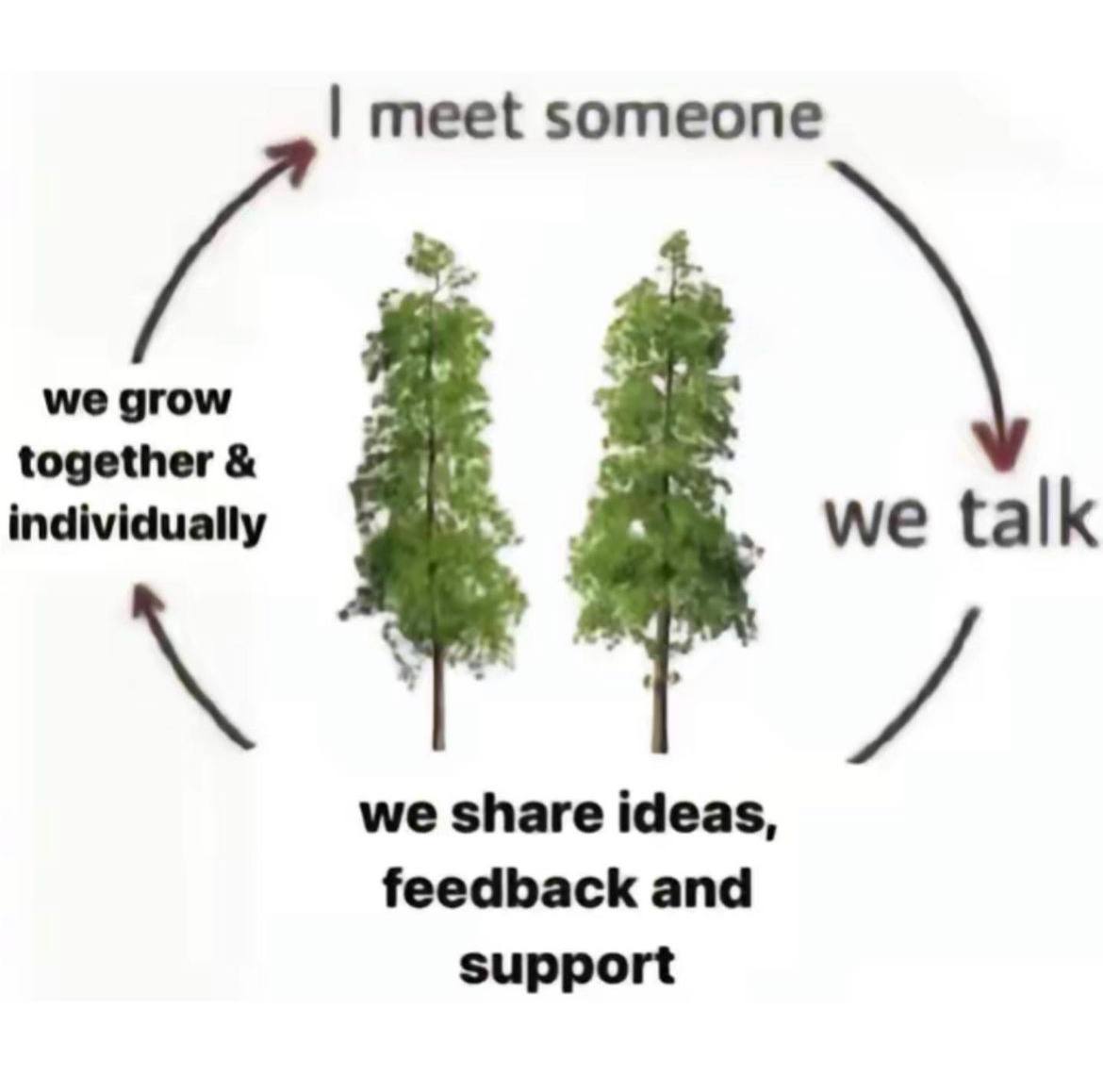 meet someone we grow together individually we talk we share ideas, feedback and support