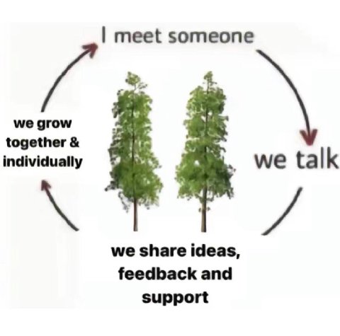 meet someone we grow together individually we talk we share ideas, feedback and support