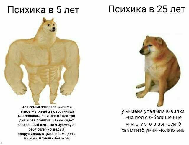 Психика в 5 лет Психика в 25 лет моя семья потеряла жилье и теперь мы живём по гостиница у м-меня упалмла в-вилка впискам, я ничего неела три н-на поля б-болбше нне дня и без понятия, каким будет завт