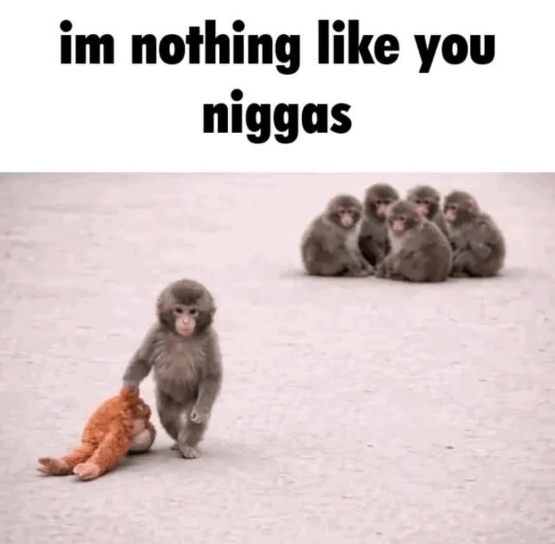 nothing like you niggas