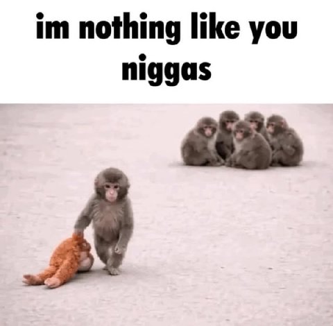nothing like you niggas
