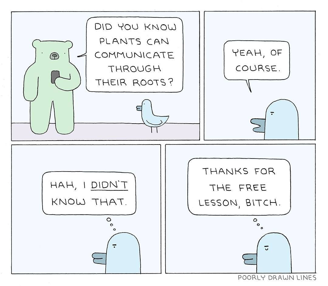 DID YOU KNOW PLANTS CAN 4 COMMUNICATE TEAH, OF THROUGH COURSE. THEIR ROOTS? THANKS FOR HAH, THE FREE THAT. LESSON, BITCH. о POORLY LINES