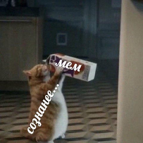 4 i