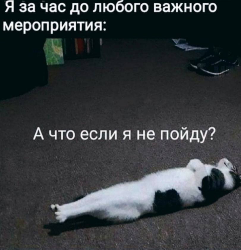 Я за час до любого важного мероприятия: А что если я не пойду?
