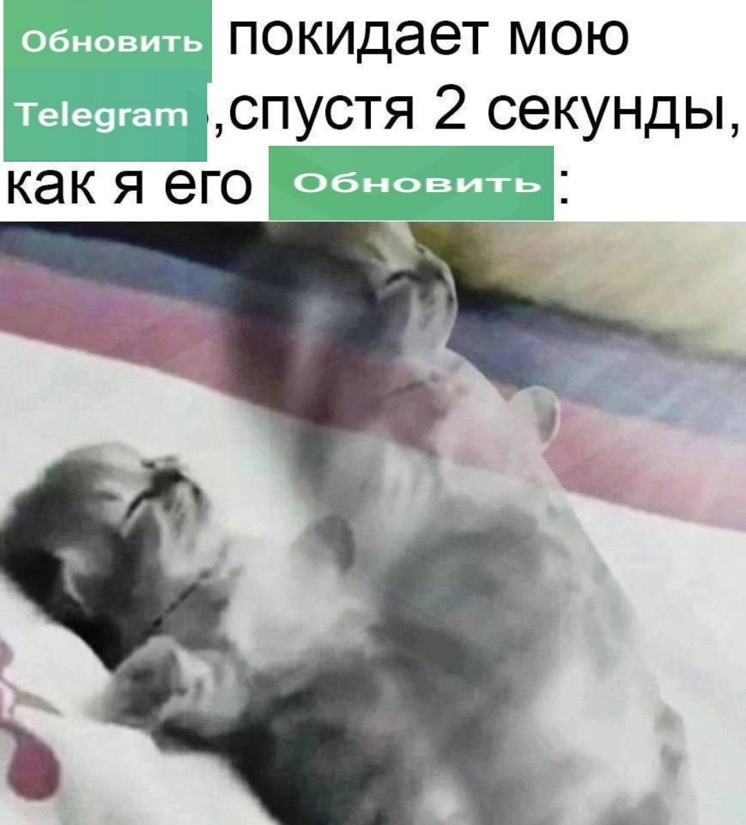 Обновить покида мою Telegram ‚спустя 2 секунды, как Я его