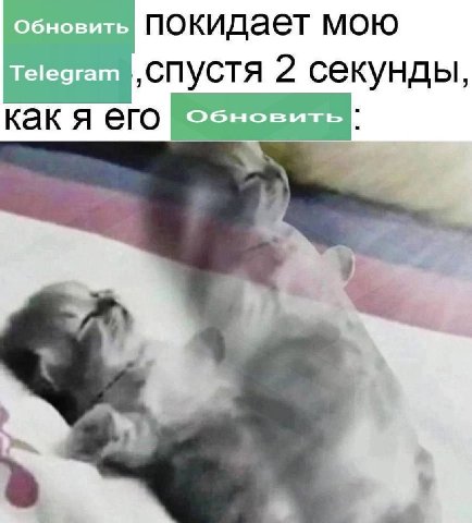 Обновить покида мою Telegram ‚спустя 2 секунды, как Я его