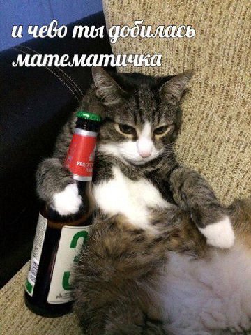 и чево тия добилась